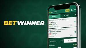 Comprehensive Review of BetWinner A Reliable Betting Platform